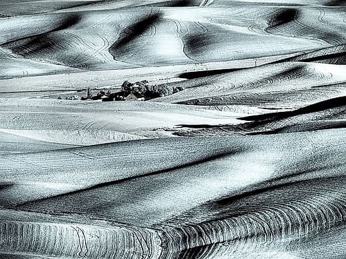 USA-Washington State-Palouse region-Rolling hills at Sunset Photography Print